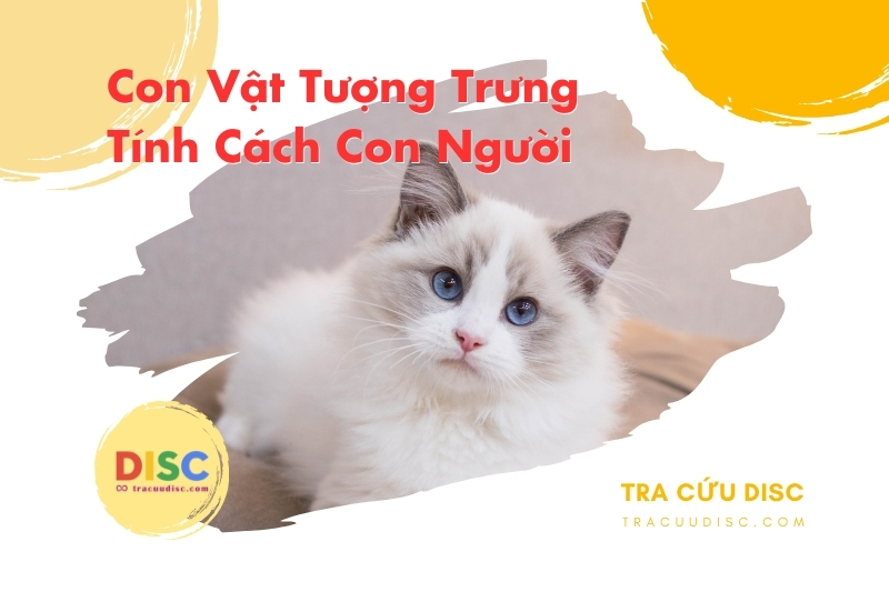Con mèo tượng trưng cho tính cách gì? Con mèo tượng trưng cho tính cách gì?