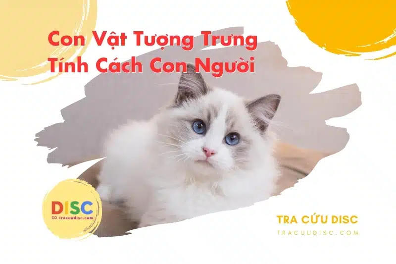 Con mèo tượng trưng cho tính cách gì? Con mèo tượng trưng cho tính cách gì?