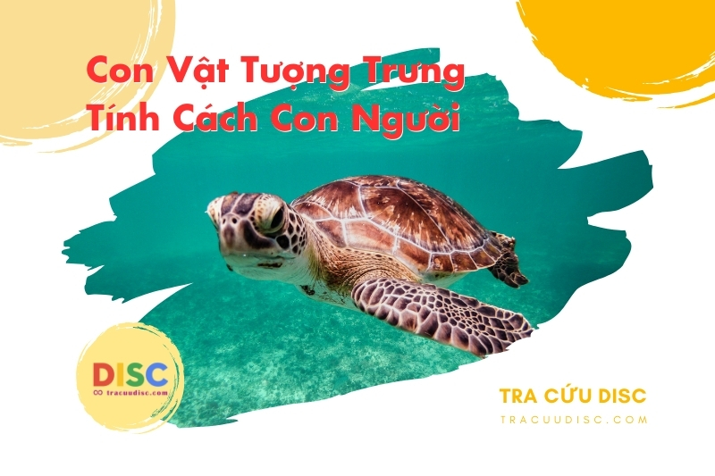 Con rùa tượng trưng cho tính cách gì? Con rùa tượng trưng cho tính cách gì?