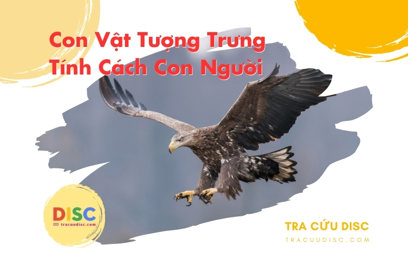 Con đại bàng tượng trưng cho tính cách gì? Con đại bàng tượng trưng cho tính cách gì?