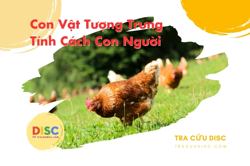 Con gà tượng trưng cho tính cách gì? Con gà tượng trưng cho tính cách gì?