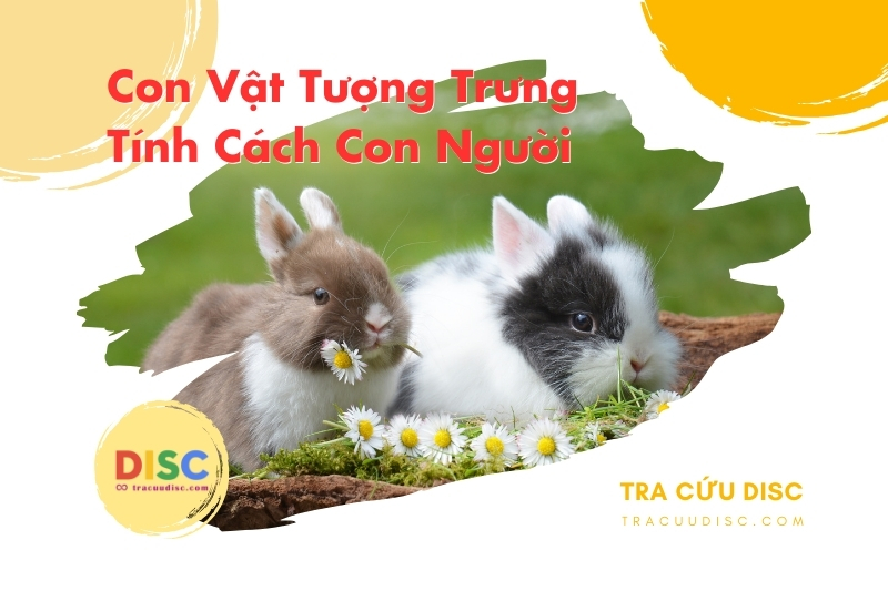 Con thỏ tượng trưng cho tính cách gì? Con thỏ tượng trưng cho tính cách gì?