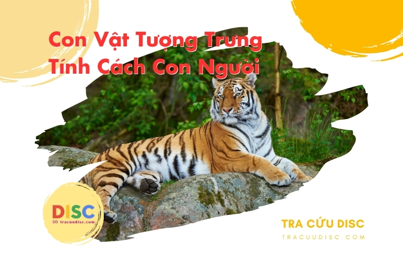 Con vật tượng trưng tính cách con người - Hổ Con vật tượng trưng tính cách con người - Hổ