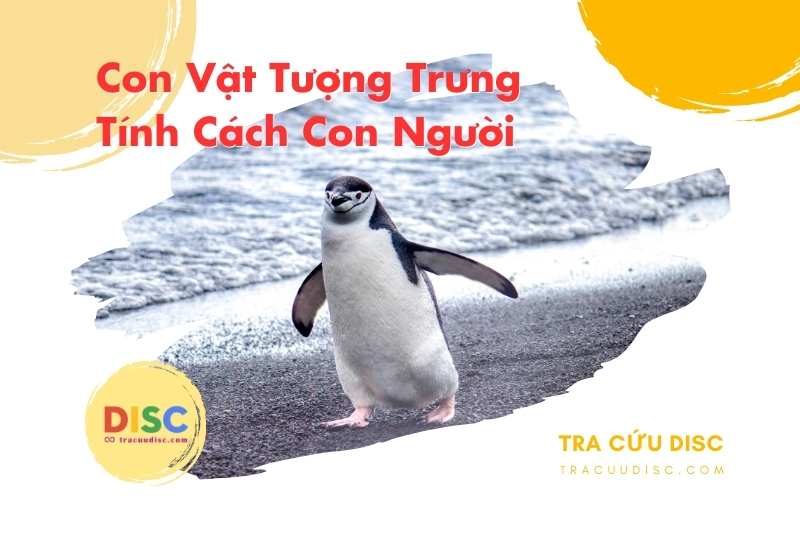 Con chim cánh cụt tượng trưng cho tính cách gì? Con chim cánh cụt tượng trưng cho tính cách gì?