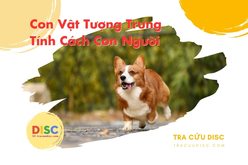 Con chó tượng trưng cho tính cách gì? Con chó tượng trưng cho tính cách gì?