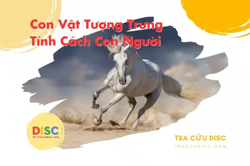 Con ngựa tượng trưng cho tính cách gì? Con ngựa tượng trưng cho tính cách gì?