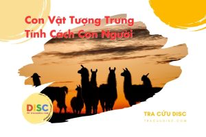 [TOP 15] Con vật tượng trưng tính cách con người