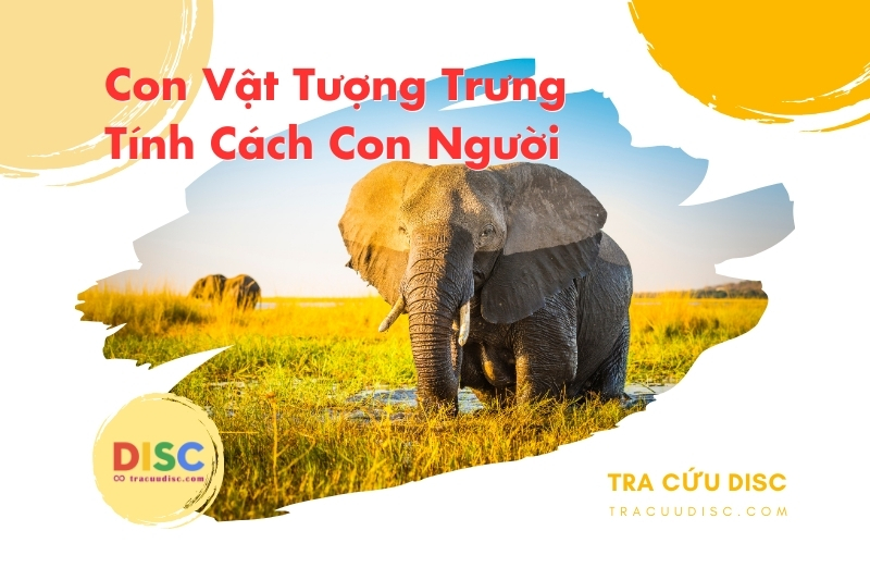 Con voi tượng trưng cho tính cách gì? Con voi tượng trưng cho tính cách gì?