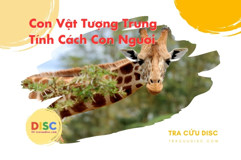 Con hươu cao cổ tượng trưng cho tính cách gì? Con hươu cao cổ tượng trưng cho tính cách gì?