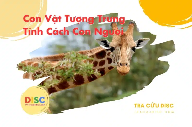 Con hươu cao cổ tượng trưng cho tính cách gì? Con hươu cao cổ tượng trưng cho tính cách gì?