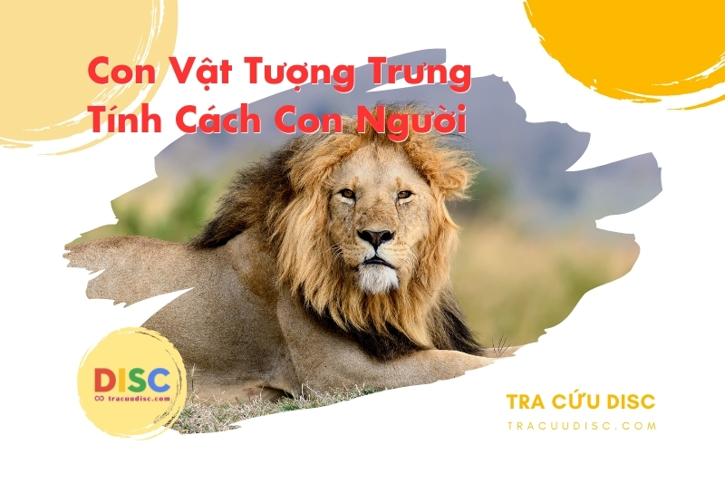 Con sư tử tượng trưng cho tính cách gì? Con sư tử tượng trưng cho tính cách gì?
