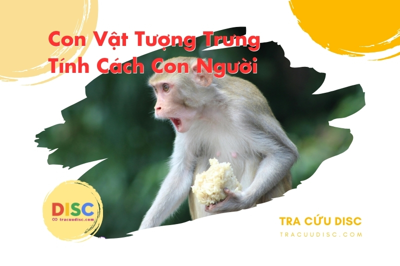Con khỉ tượng trưng cho tính cách gì? Con khỉ tượng trưng cho tính cách gì?