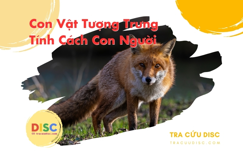 Con cáo tượng trưng cho tính cách gì? Con cáo tượng trưng cho tính cách gì?