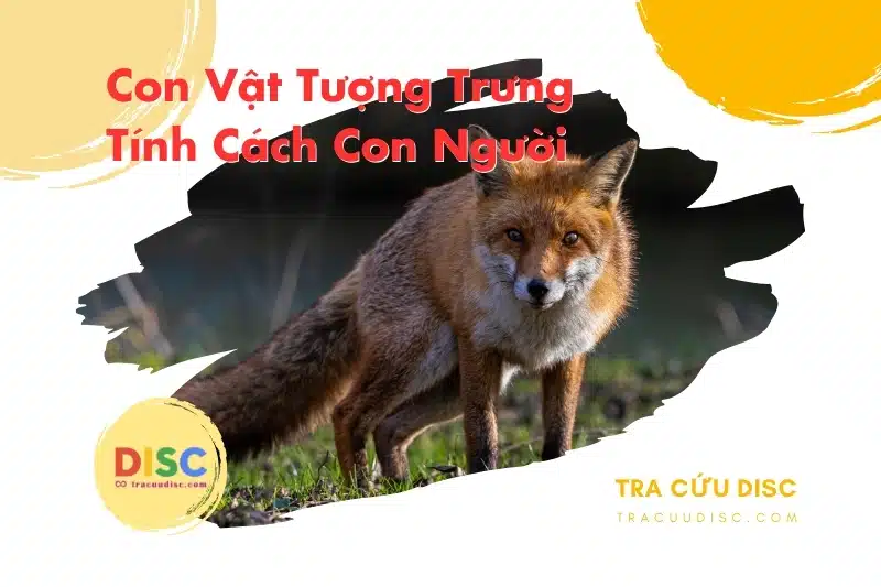 Con cáo tượng trưng cho tính cách gì? Con cáo tượng trưng cho tính cách gì?