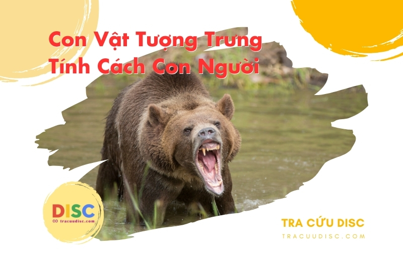 Con gấu tượng trưng cho tính cách gì? Con gấu tượng trưng cho tính cách gì?
