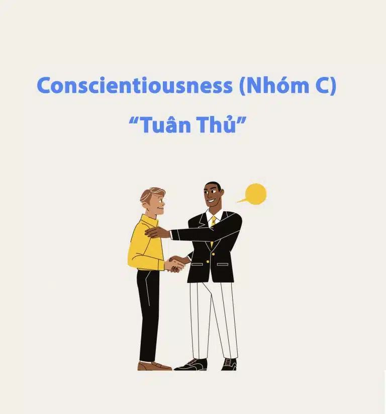 Nhóm C trong DISC