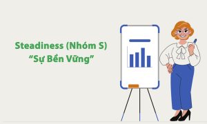 Nhóm tính cách S trong DISC là gì? Điểm mạnh, yếu và định hướng nghề nghiệp