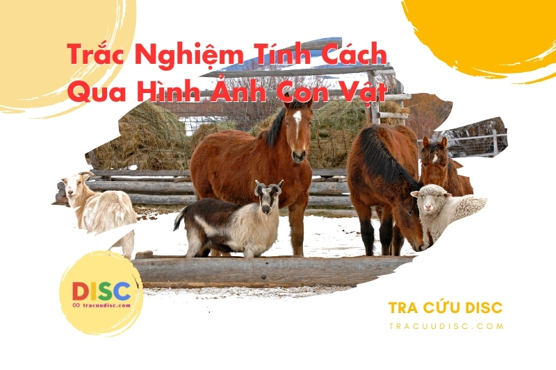 Trắc nghiệm tính cách qua hình ảnh con vật là gì? Trắc nghiệm tính cách qua hình ảnh con vật là gì?