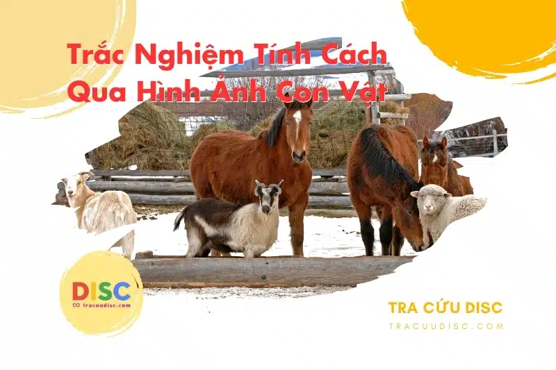 Trắc nghiệm tính cách qua hình ảnh con vật là gì? Trắc nghiệm tính cách qua hình ảnh con vật là gì?