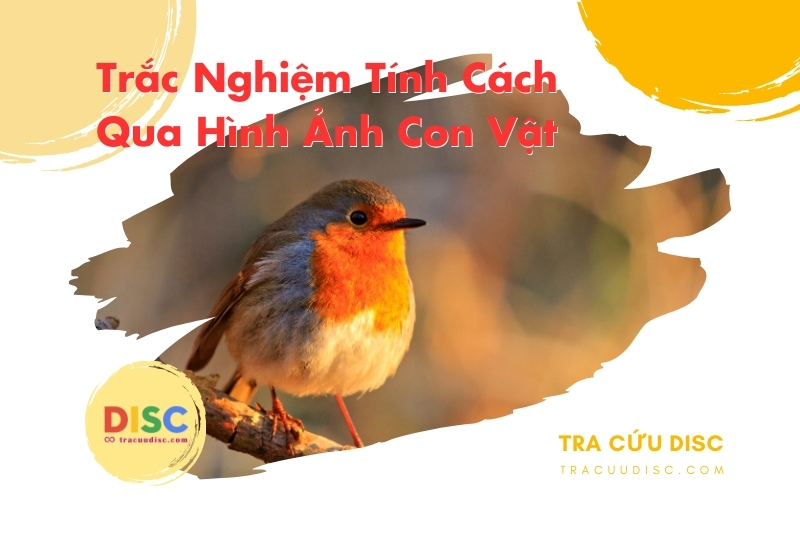Hình ảnh con chim Hình ảnh con chim