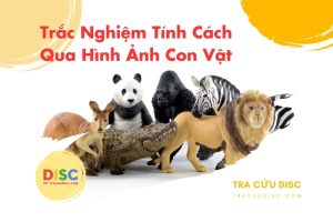 Trắc nghiệm tính cách qua hình ảnh con vật là gì?