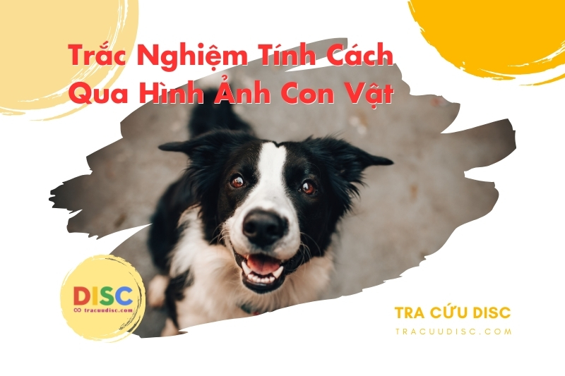 Hình ảnh con chó Hình ảnh con chó