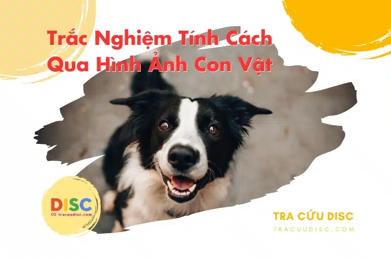 Hình ảnh con chó Hình ảnh con chó